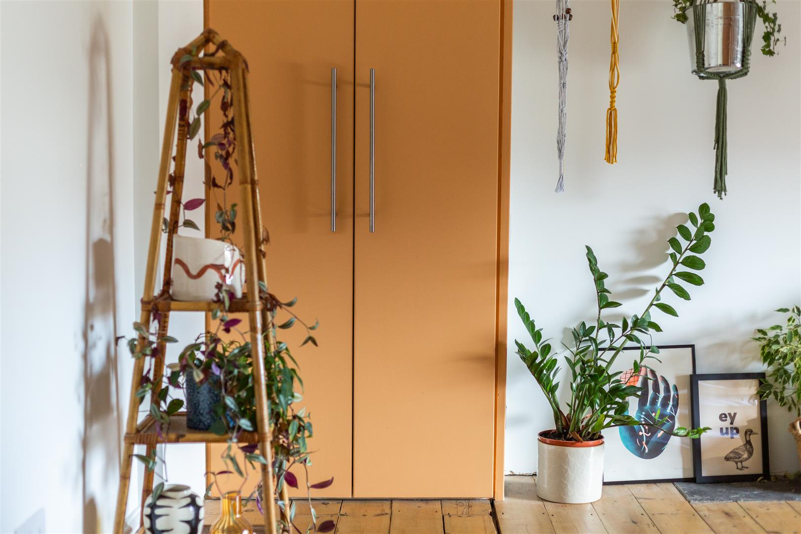 Finsbury Terrace, Brynmill, Swansea, SA2 0AH